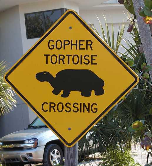 Gopher Crossing Sign