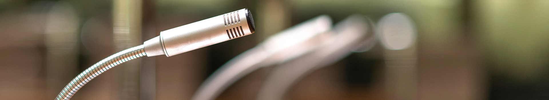 Microphone at Council Meeting