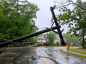 Down powerline in roadway