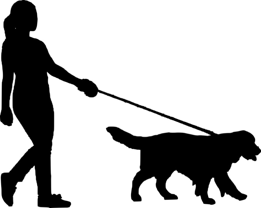 Person Walking Dog Silhouette