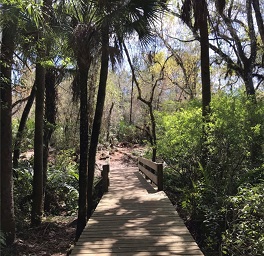 New Bike Trail Bridge