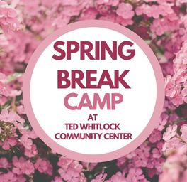 Spring Break Camp