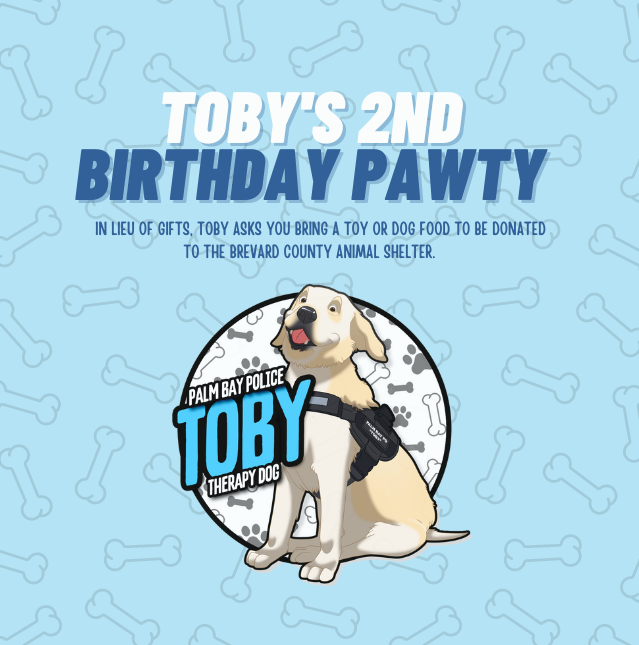 Copy of Toby's 2nd Birthday Party Invitation (YouTube Channel Logo)