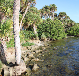 Shoreline Stabilization Project