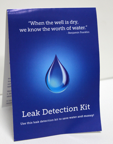 leak detection kit